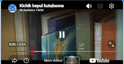 Kichik bepul kutubxona hikoyasi